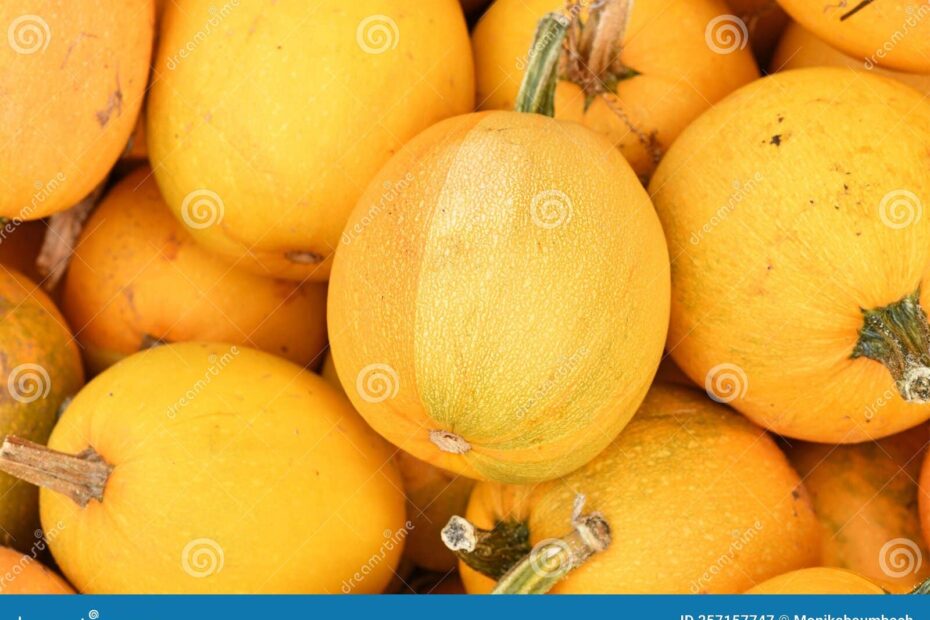 Yellow Skinned Spaghetti Squash Stock Image Image Of Pumpkin Pepo