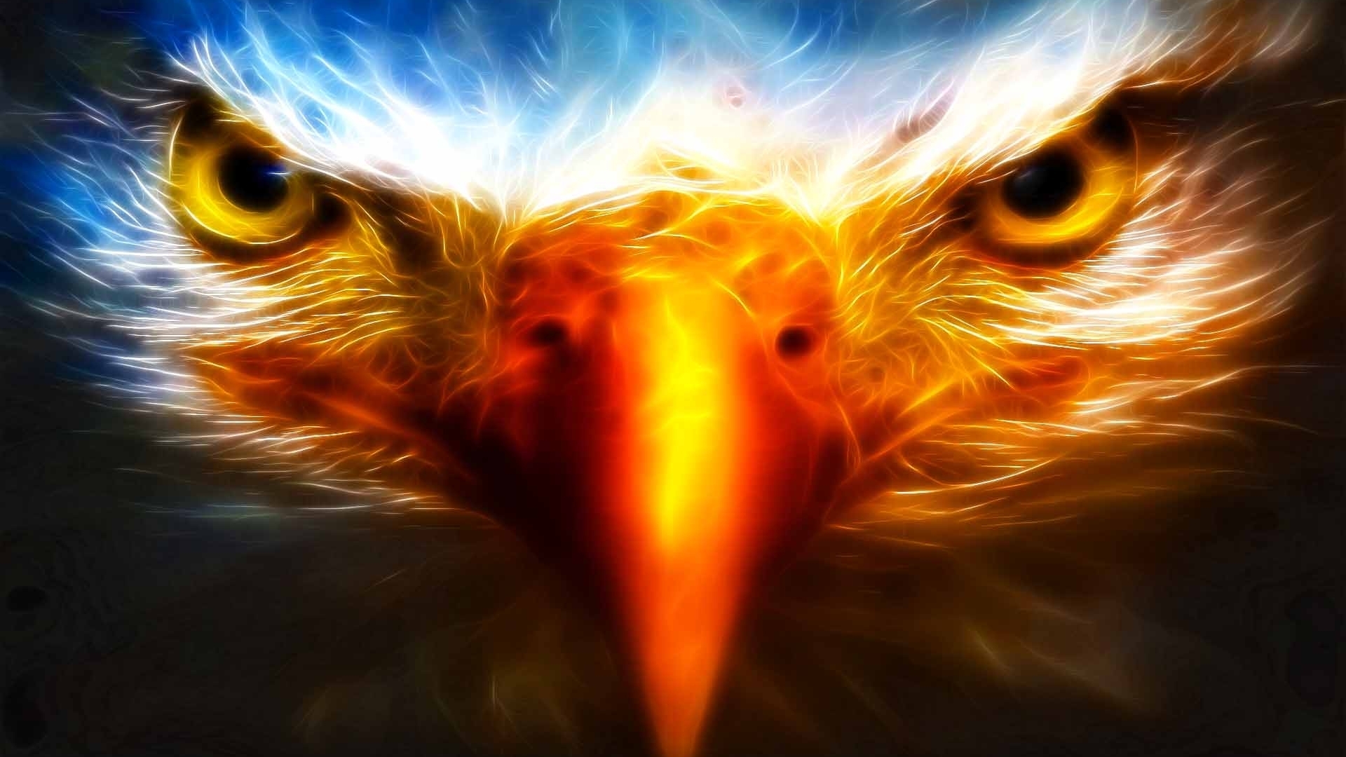Yellow White Animals Birds Eagle Eye Coolwallpapers me Yellow White Animals Birds Eagle Eye Coolwallpapers me