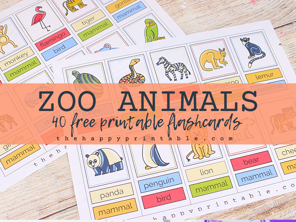 Zoo Animal Cards Printable Zoo Animal Cards Printable
